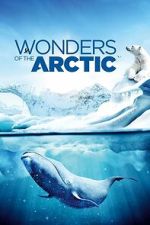 Watch Wonders of the Arctic Gomovies123