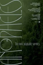 Watch Anopheles Gomovies123
