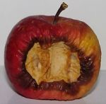 Watch Bad Apples (Short 2006) Gomovies123