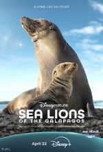 Watch Sea Lions of the Galapagos (TV Special 2025) Gomovies123