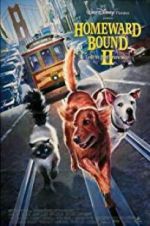 Watch Homeward Bound II: Lost in San Francisco Gomovies123