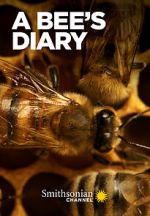 Watch A Bee\'s Diary (TV Special 2022) Gomovies123
