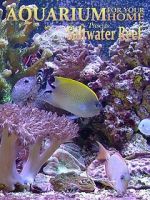 Watch Aquarium for Your Home: Saltwater Reef Gomovies123