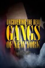 Watch Uncovering the Real Gangs of New York Gomovies123