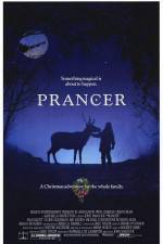 Watch Prancer Gomovies123