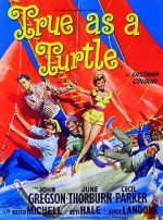 Watch True as a Turtle Gomovies123