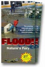 Watch Flood Gomovies123