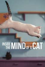 Watch Inside the Mind of a Cat Gomovies123