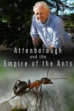 Watch Attenborough and the Empire of the Ants Gomovies123