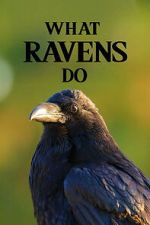 Watch What Ravens Do Gomovies123
