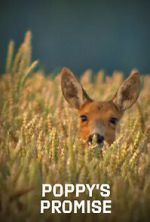 Watch Poppy\'s Promise: Secret Life in a Cornfield Gomovies123