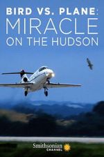Watch Bird vs. Plane: Miracle on the Hudson Gomovies123