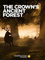 Watch The Crown\'s Ancient Forest Gomovies123