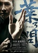 Watch Ip Man 3 Gomovies123