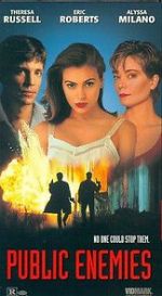 Watch Public Enemies Gomovies123