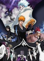 Watch Bleach the Movie 2: The Diamond Dust Rebellion Gomovies123