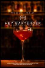 Watch Hey Bartender Gomovies123