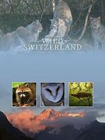 Watch Wilde Schweiz Gomovies123