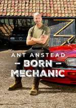 Watch Ant Anstead: Born Mechanic Season 3 Episode 10 Gomovies123